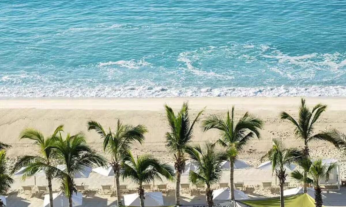 Photo of Others in San Jose del Cabo