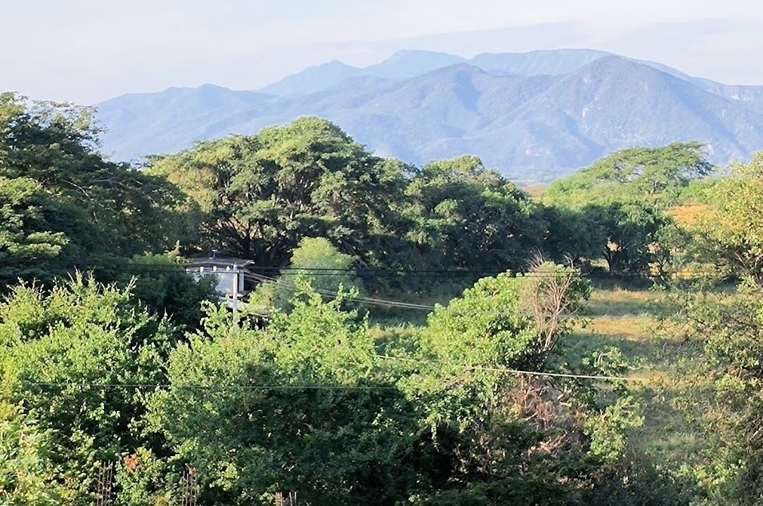Photo of Others in Colima