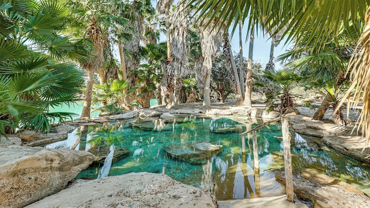 Photo of Outdoor in La Joya