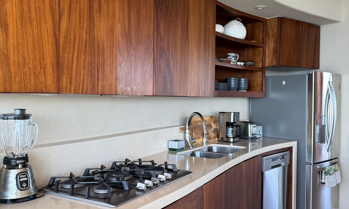 Photo of Kitchen in Troncones