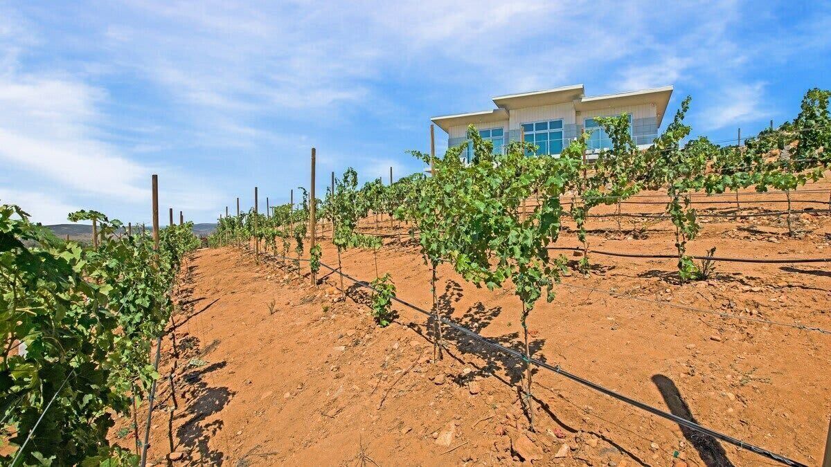 Photo of Outdoor in Valle de Guadalupe