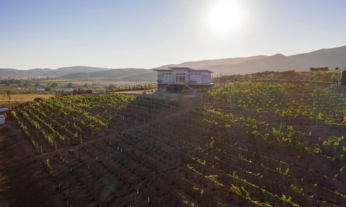 Photo of Outdoor in Valle de Guadalupe