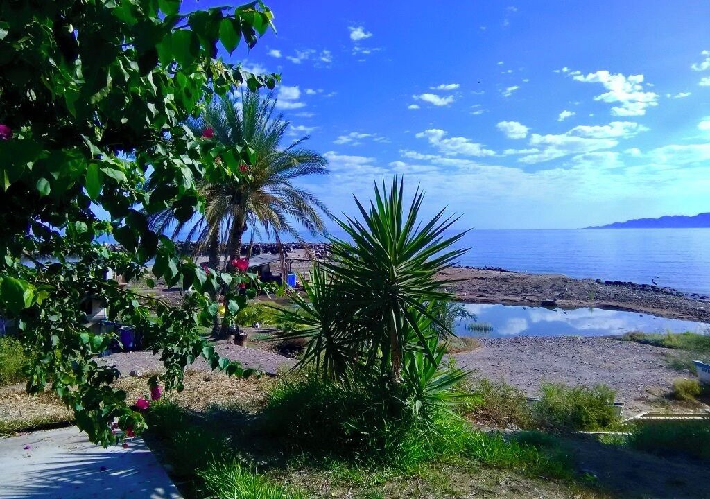Photo of Others in Ejido San Lucas