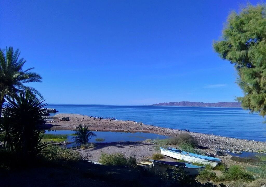 Photo of Others in Ejido San Lucas