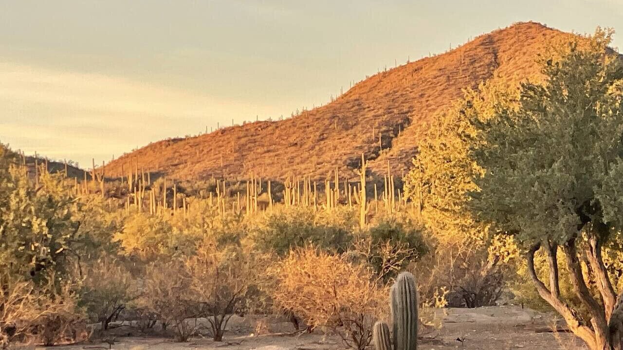 Photo of Others in Marana