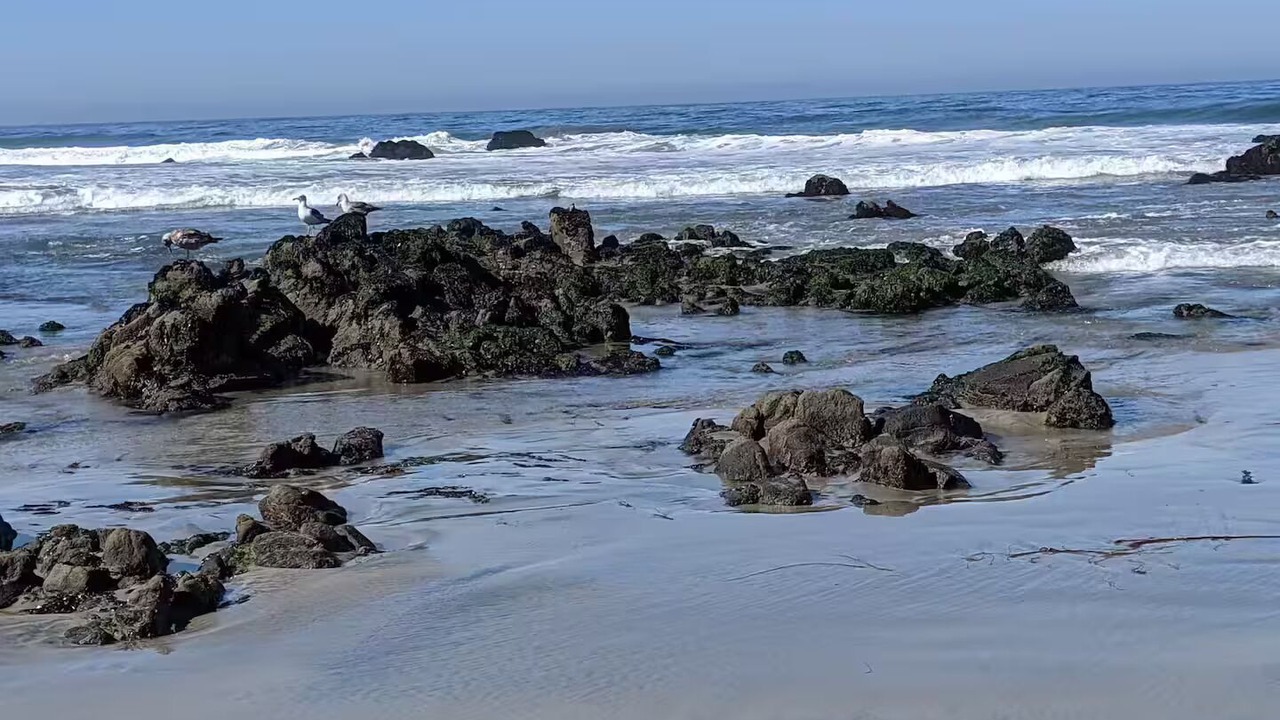 Photo of Others in Playa Encantada