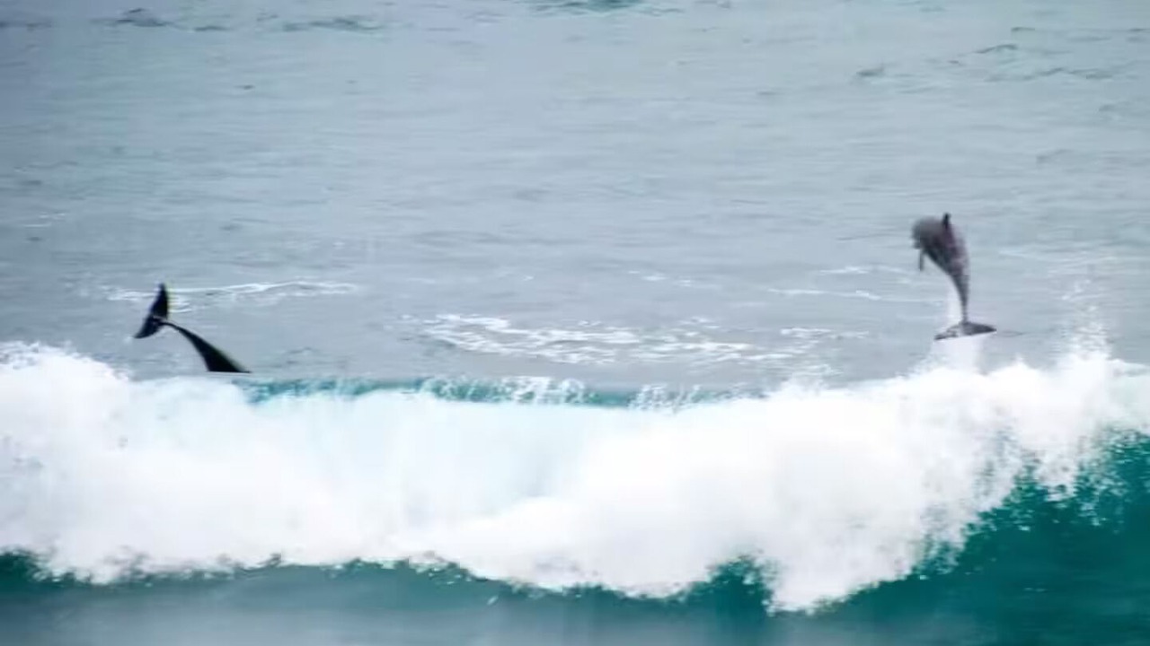 Photo of Others in Playa Encantada