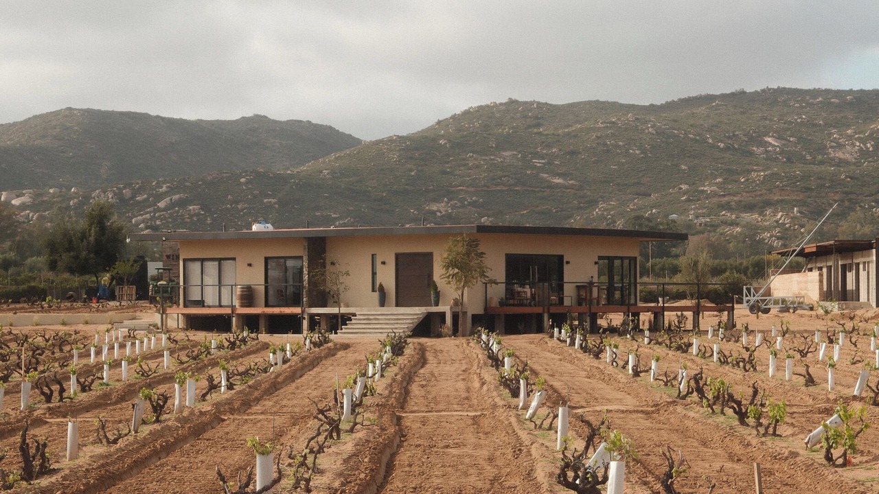 Photo of Outdoor in Valle de Guadalupe