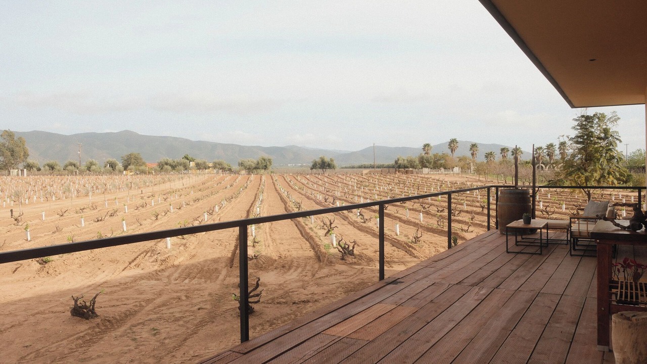 Photo of Outdoor in Valle de Guadalupe