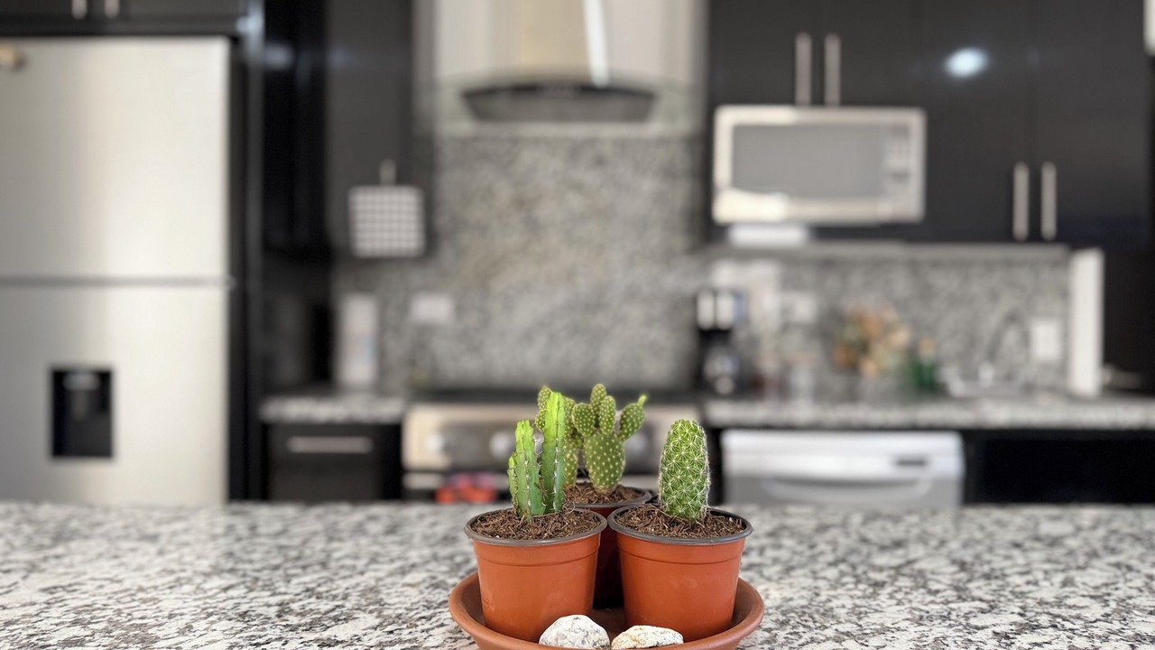 Photo of Kitchen in Cabo San Lucas