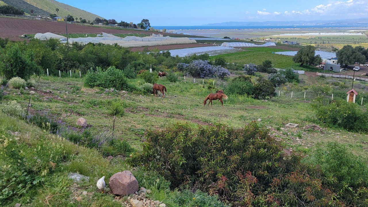 Photo of Others in Cabo Punta Banda