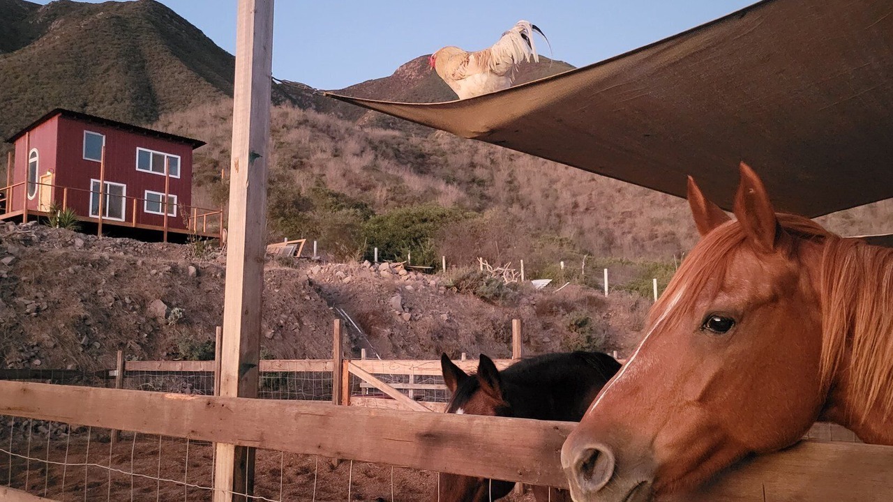 Photo of Others in Cabo Punta Banda