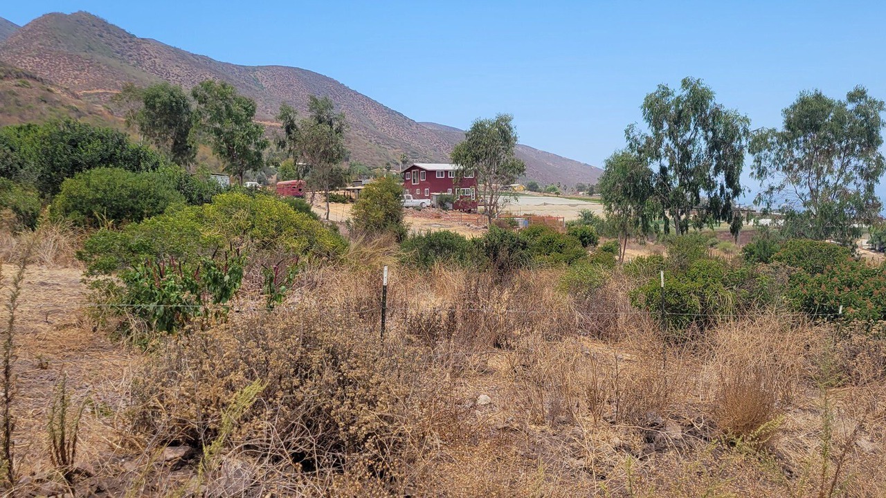 Photo of Others in Cabo Punta Banda