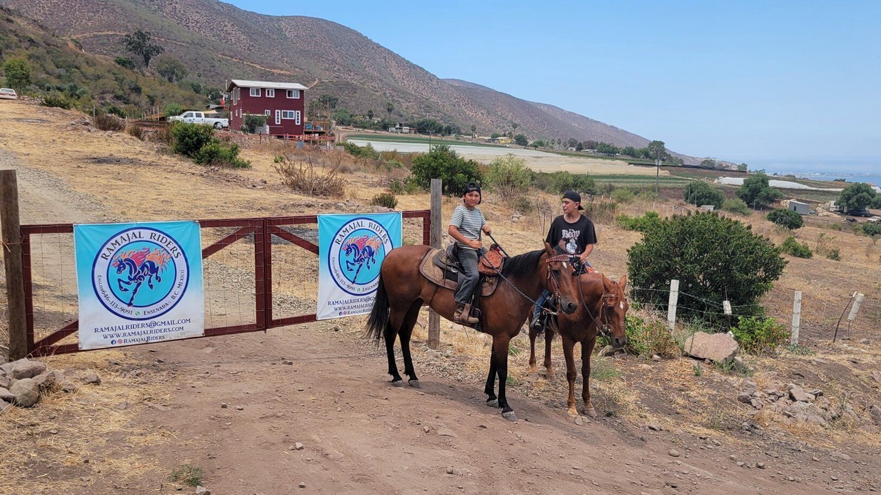 Photo of Others in Cabo Punta Banda