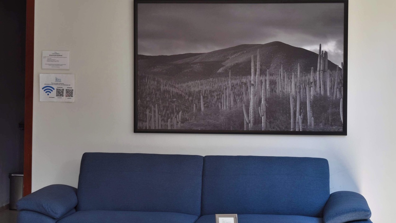 Photo of Livingroom in Centro Historico