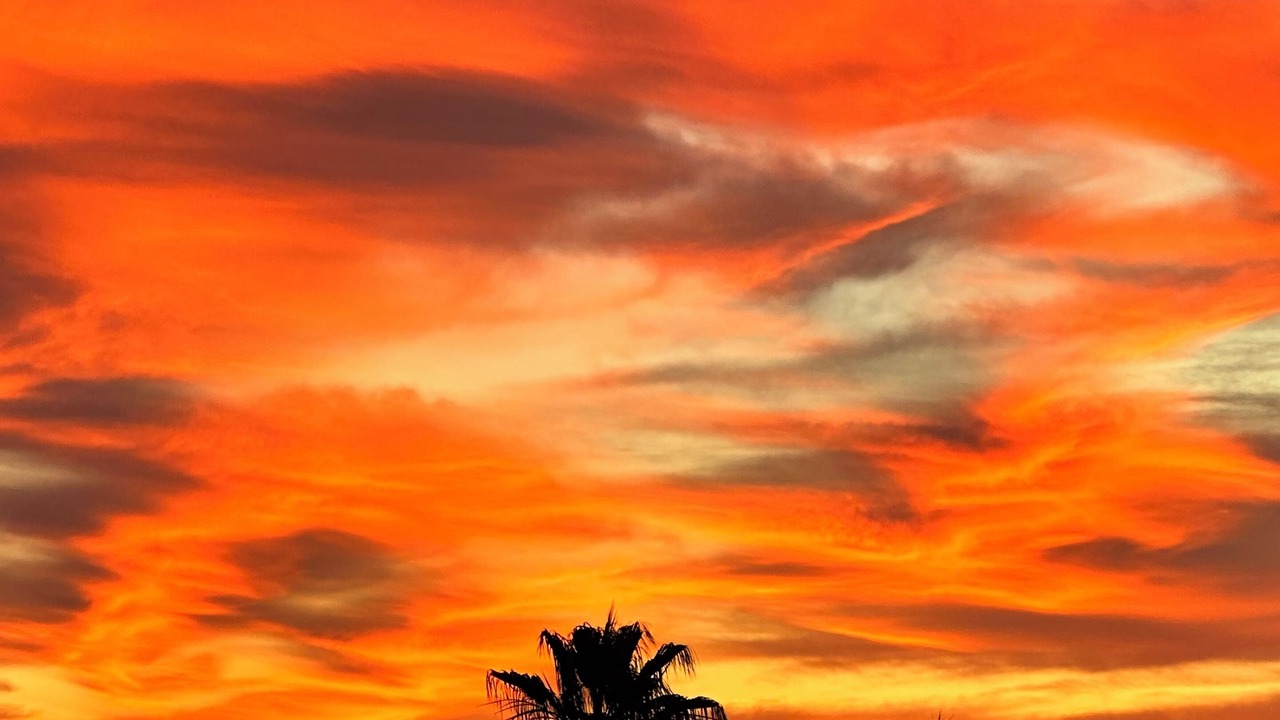 Photo of Others in San Jose del Cabo