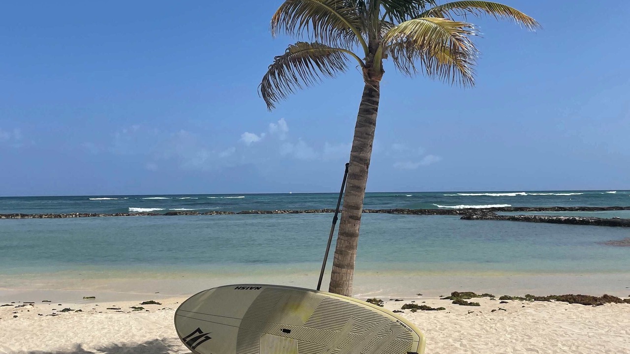 Photo of Others in Puerto Aventuras