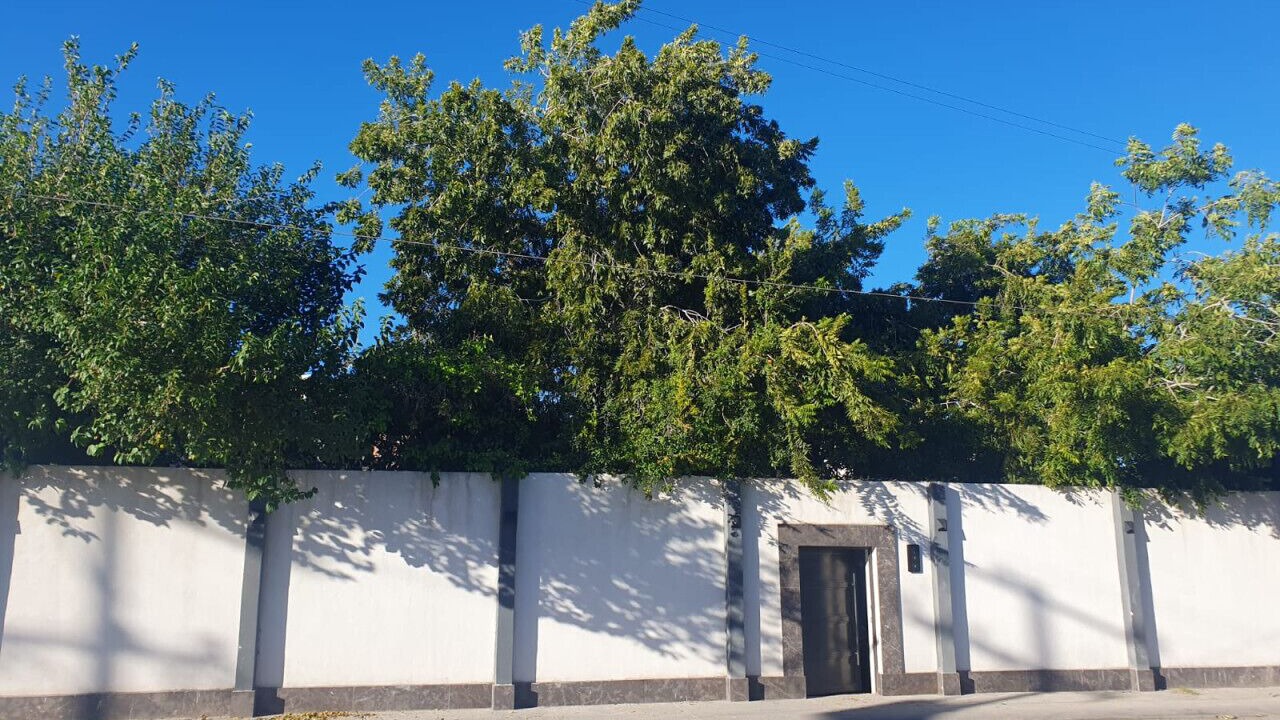 Photo of Outdoor in Torreon