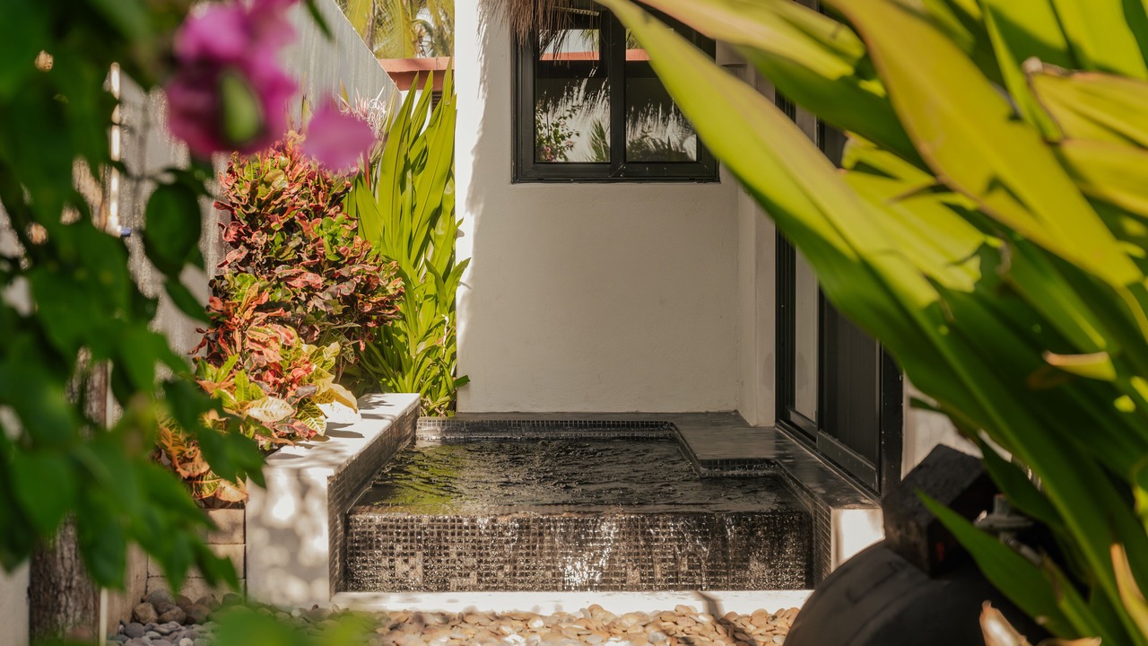 Photo of Outdoor in Saladita