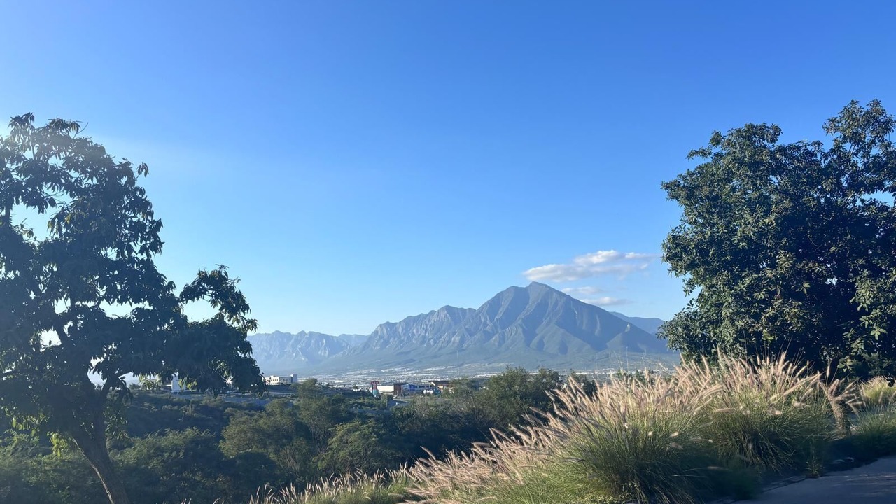 Photo of Others in Monterrey
