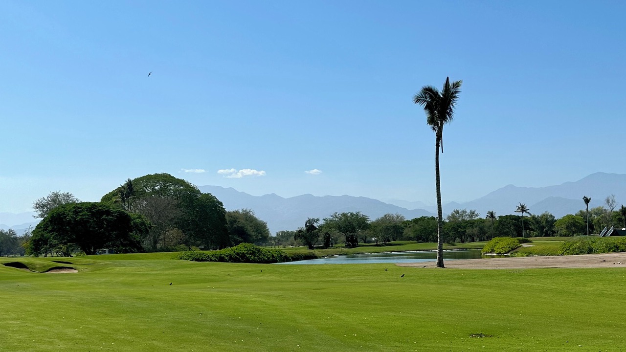 Photo of Others in Nuevo Vallarta