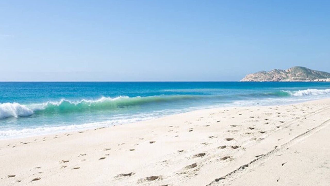 Photo of Others in San Jose del Cabo