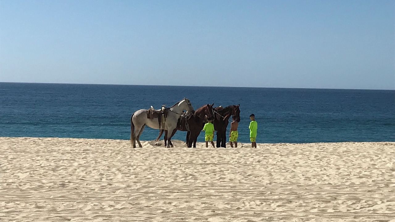 Photo of Others in Cabo San Lucas