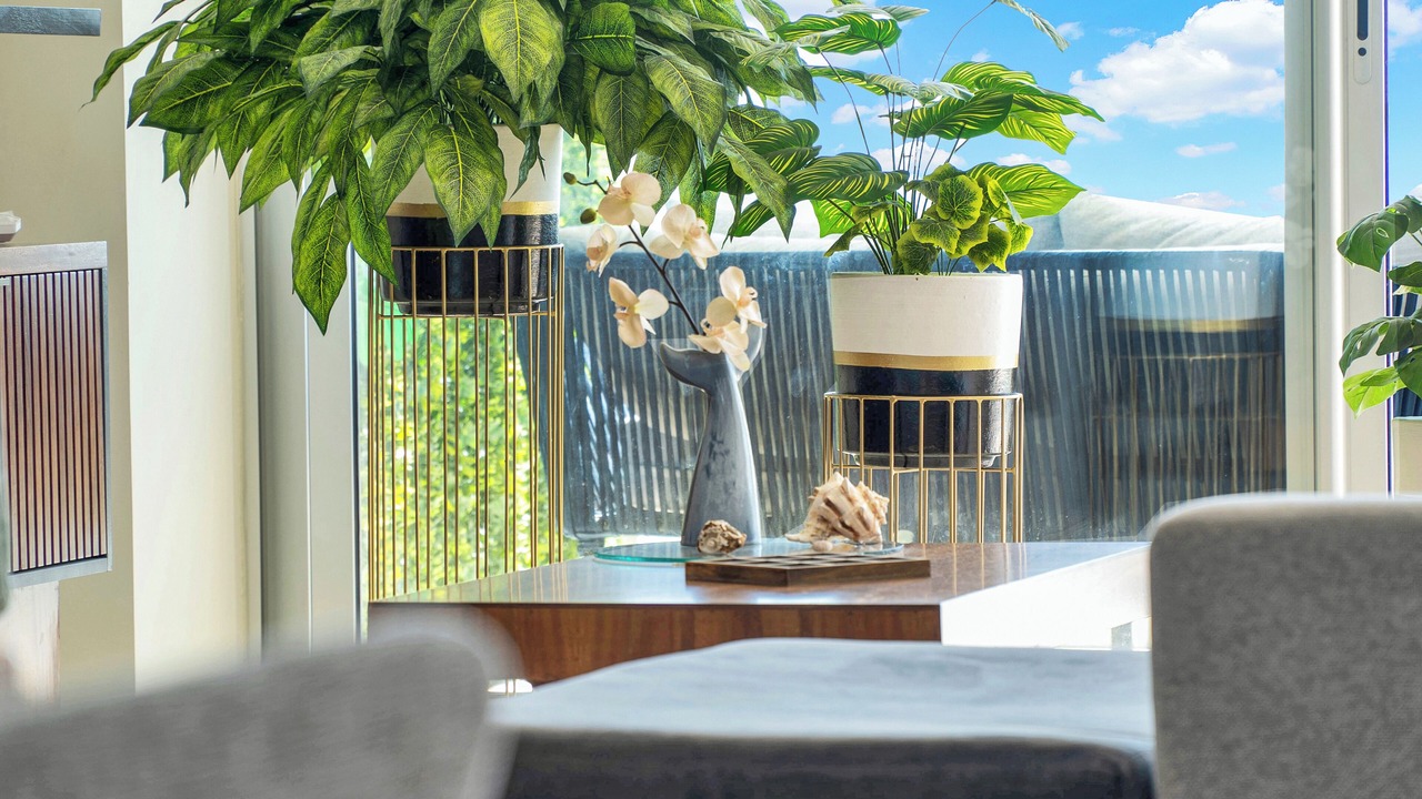 Photo of Others in Punta de Mita