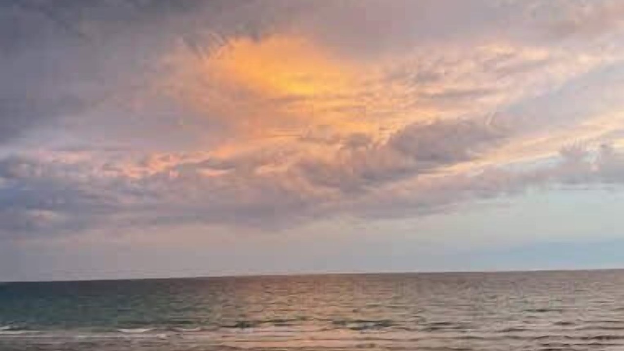 Photo of Others in Puerto Penasco