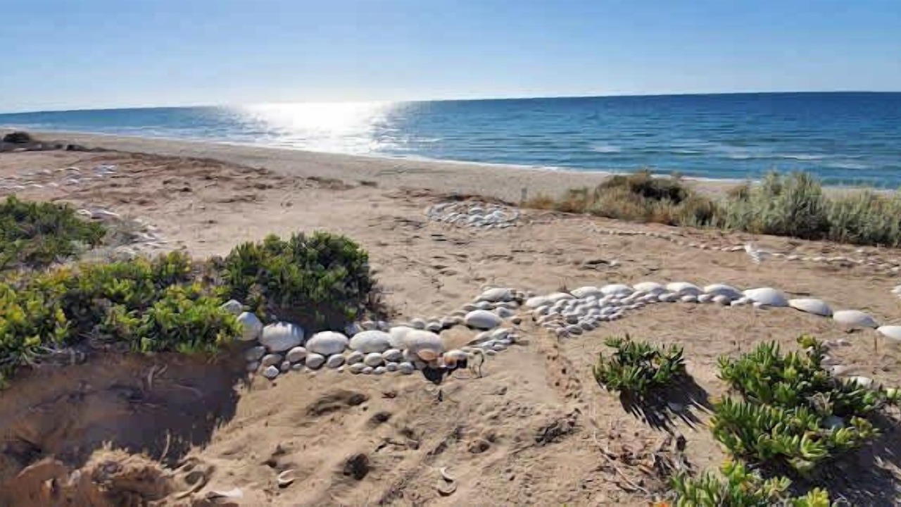 Photo of Others in Puerto Penasco