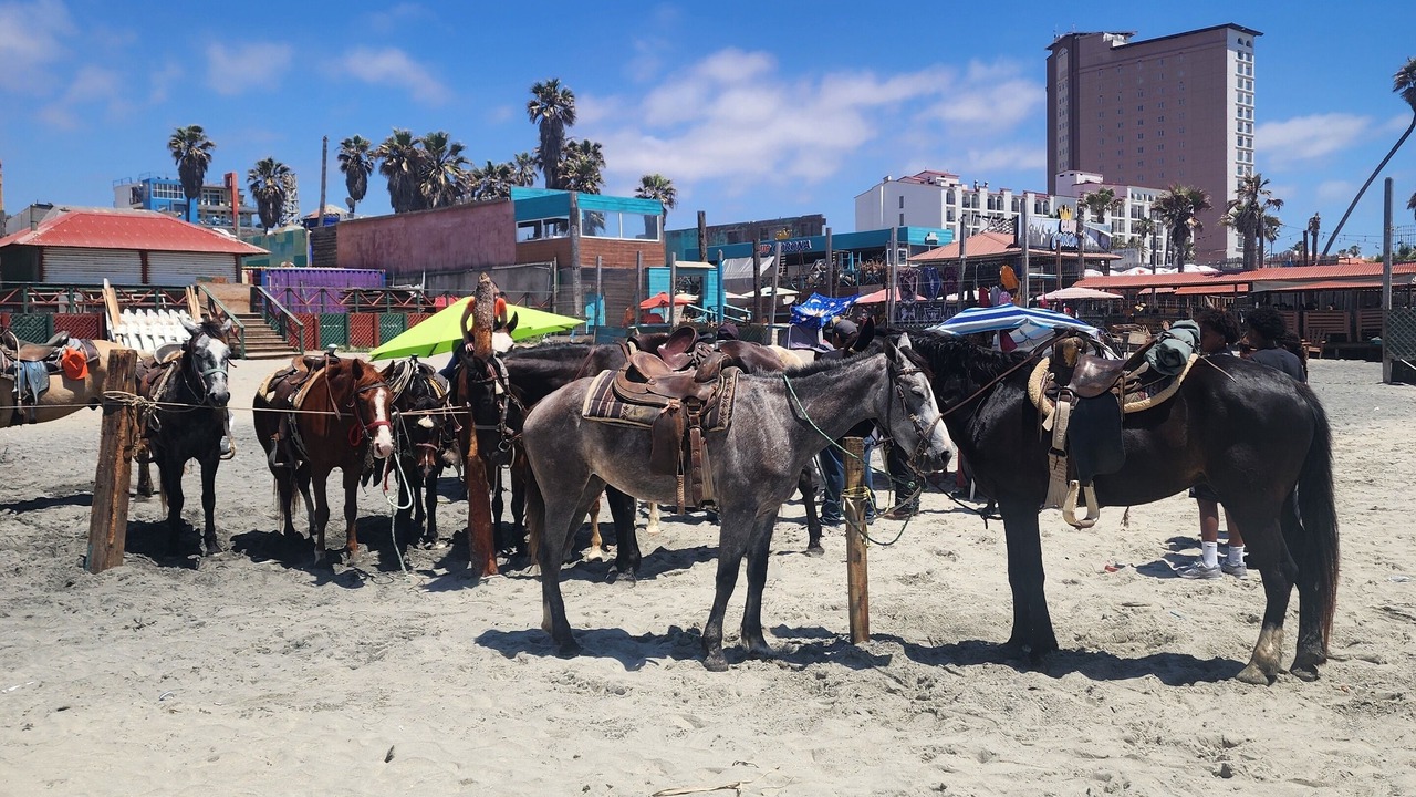 Photo of Others in Playas de Rosarito