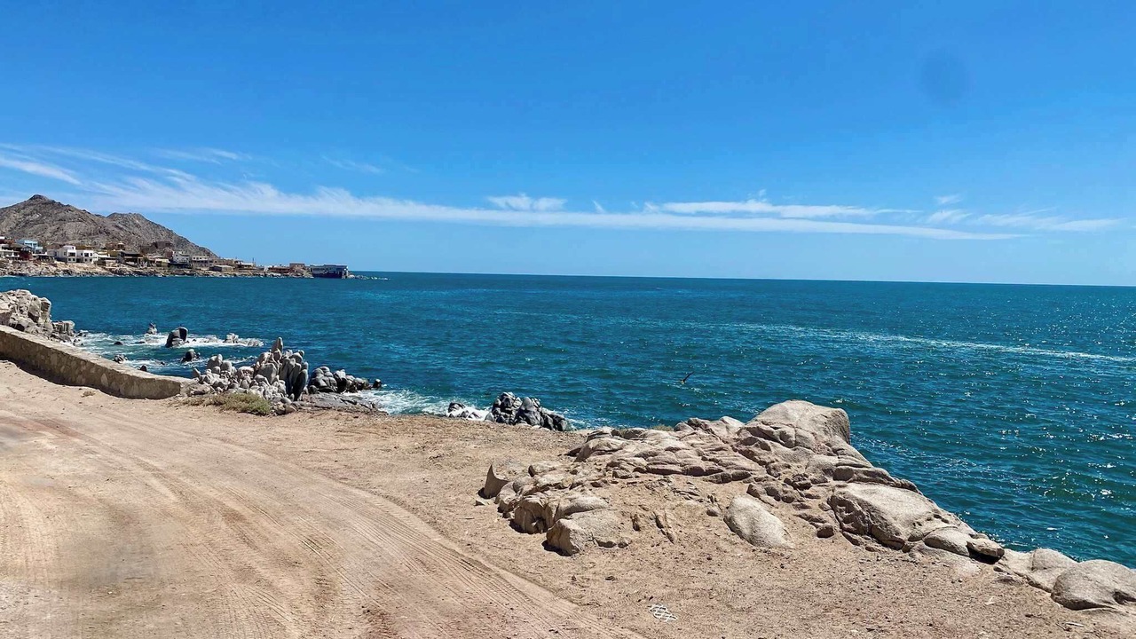 Photo of Others in Cholla Bay