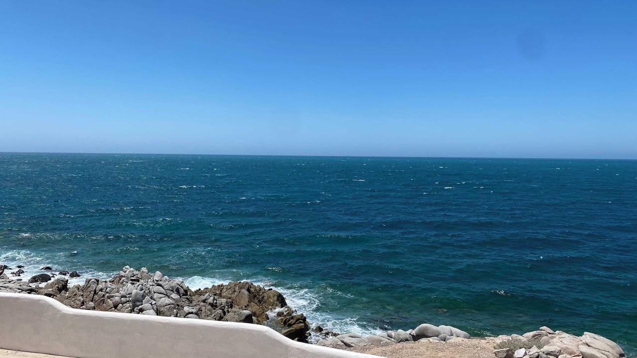 Photo of Others in Cholla Bay