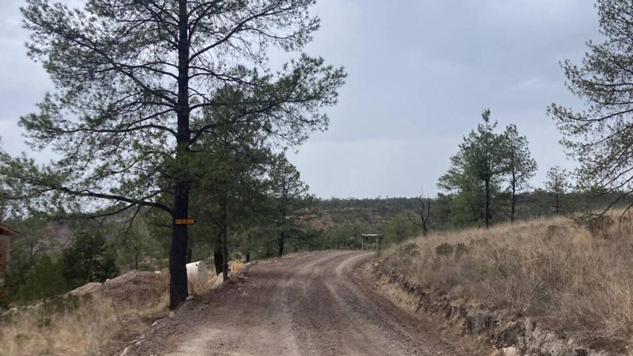 Photo of Outdoor in Durango