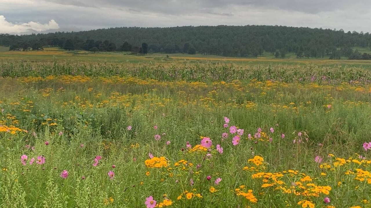 Photo of Bathroom in Durango