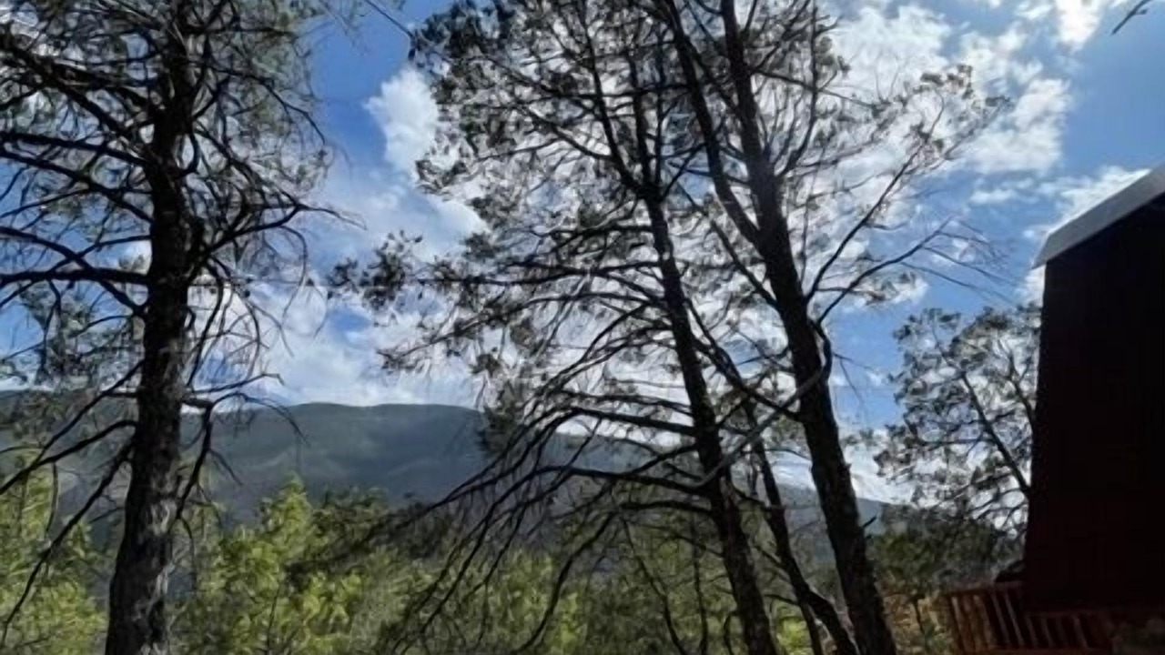 Photo of Others in Arteaga