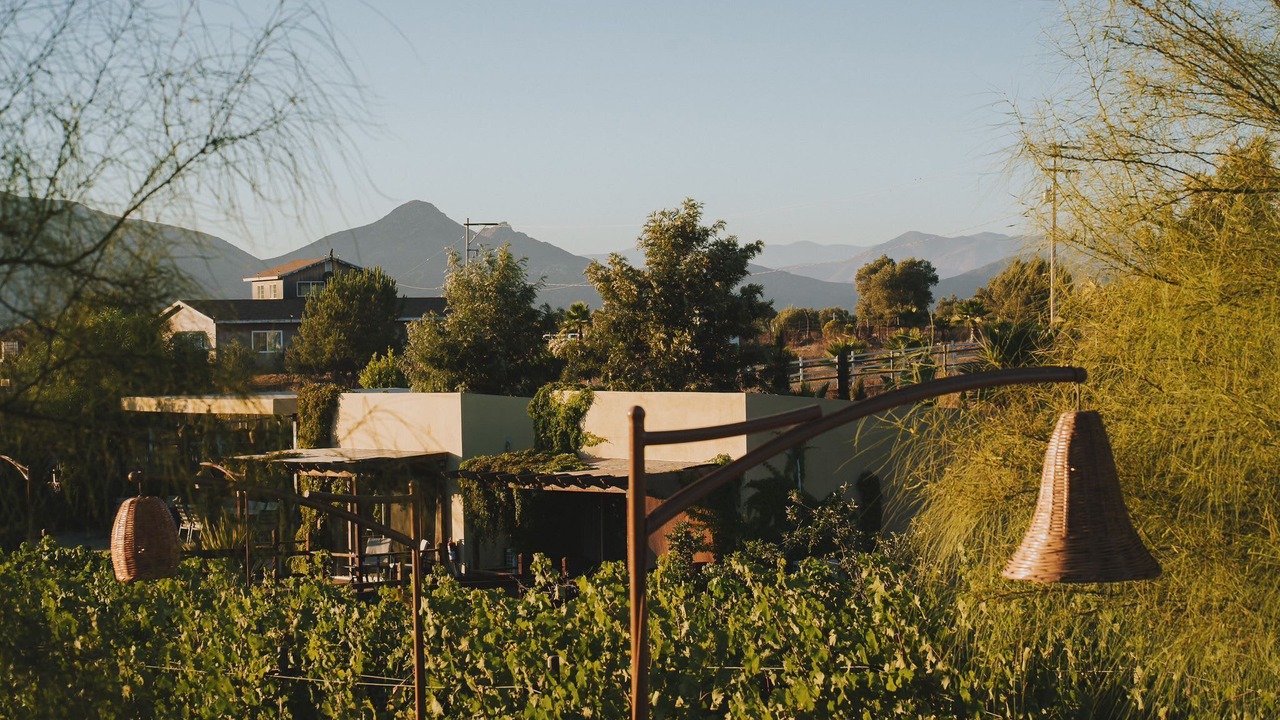 Photo of Outdoor in Valle de Guadalupe