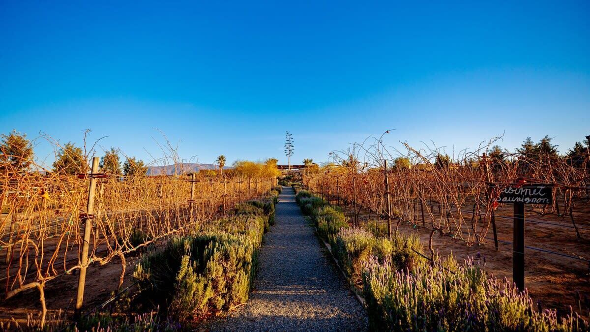 Photo of Others in Valle de Guadalupe