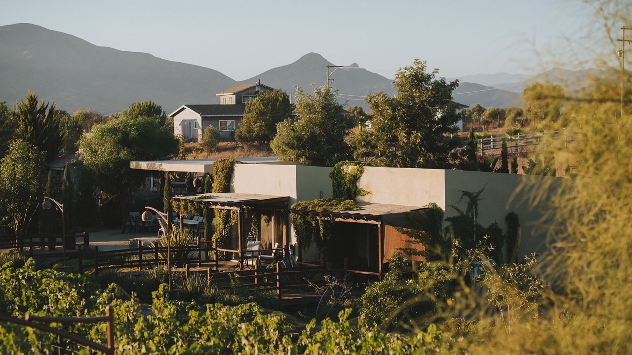 Photo of Others in Valle de Guadalupe