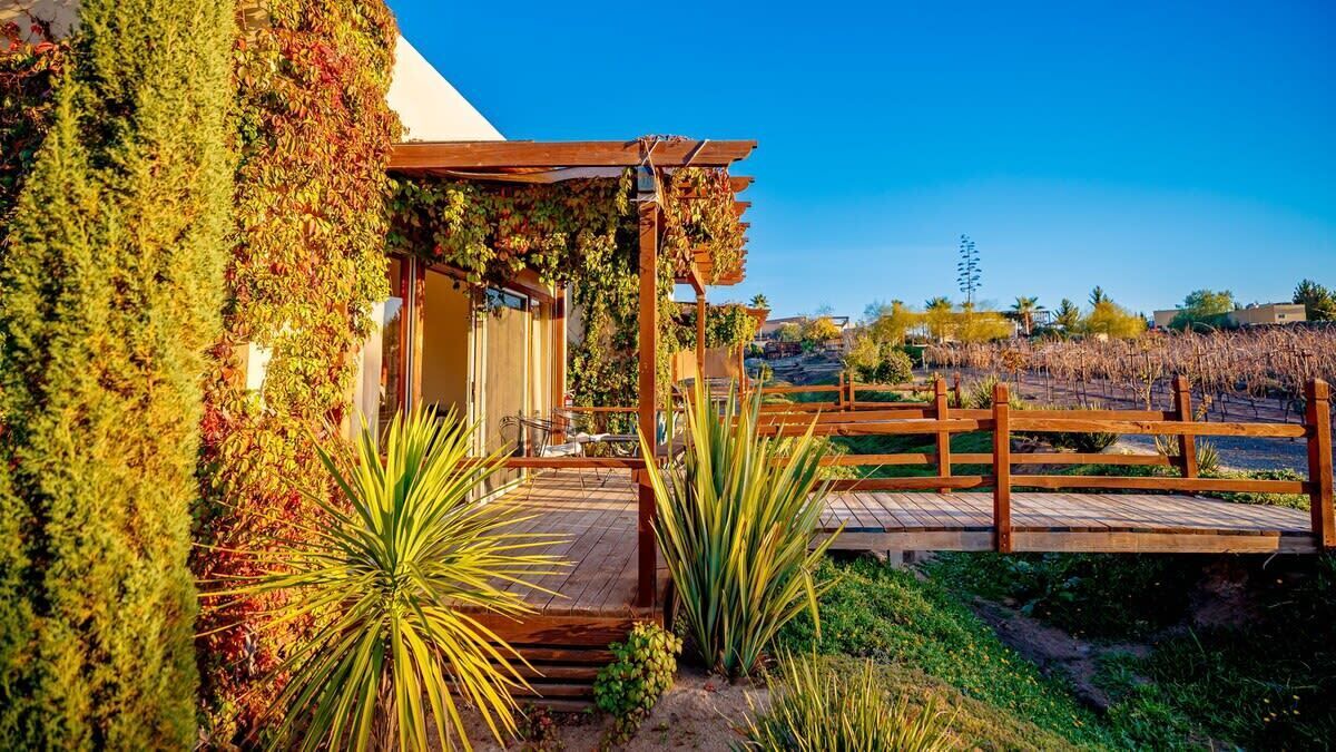 Photo of Outdoor in Valle de Guadalupe