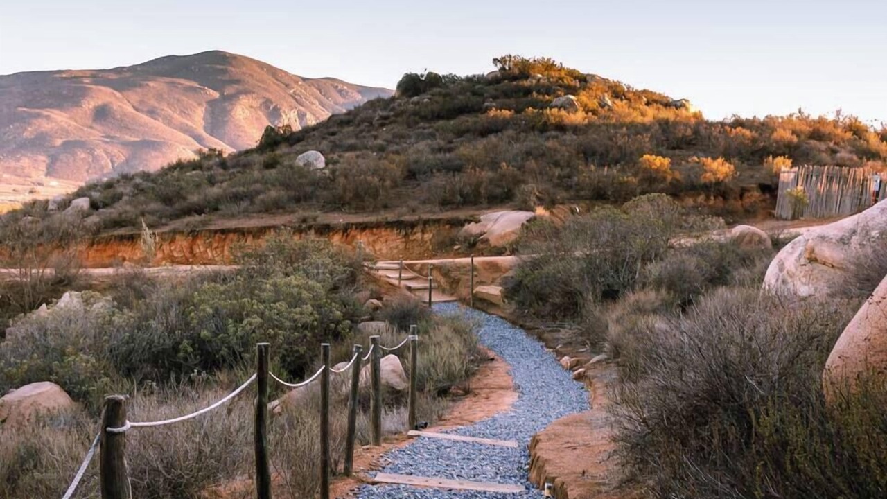 Photo of Others in Valle de Guadalupe
