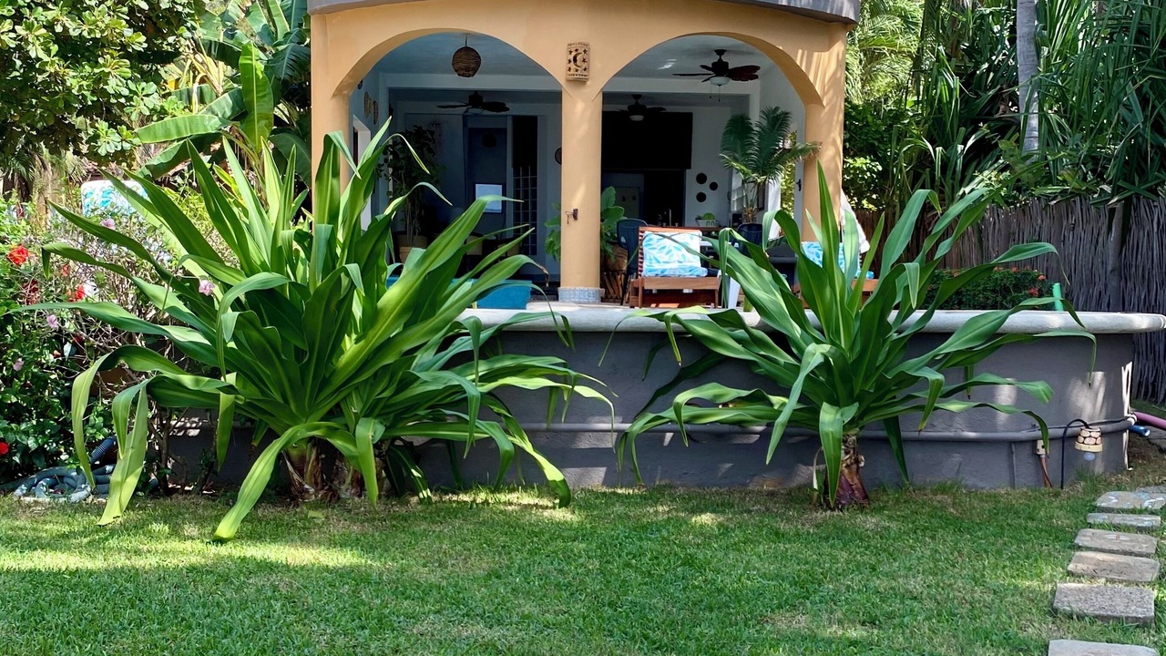 Photo of Others in Troncones