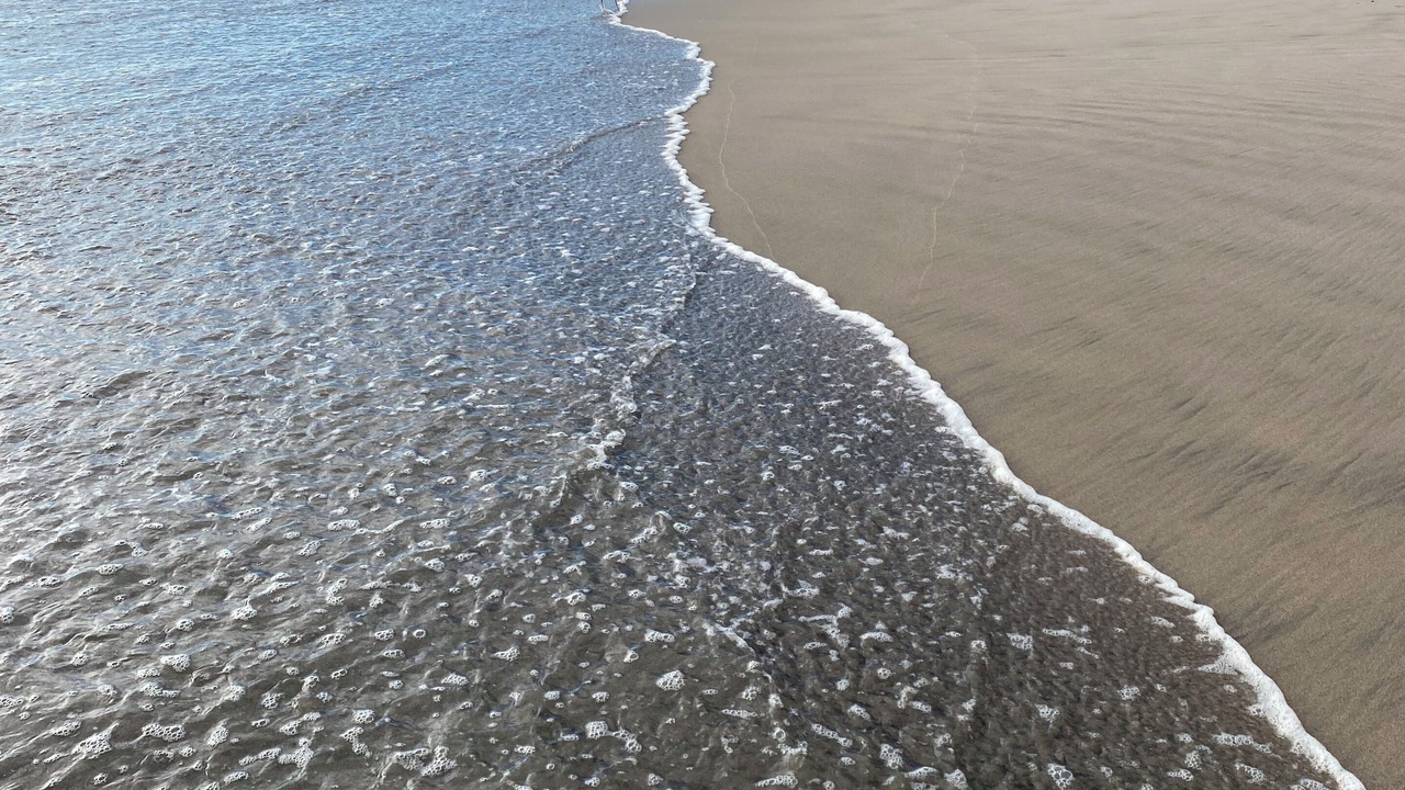 Photo of Others in Troncones