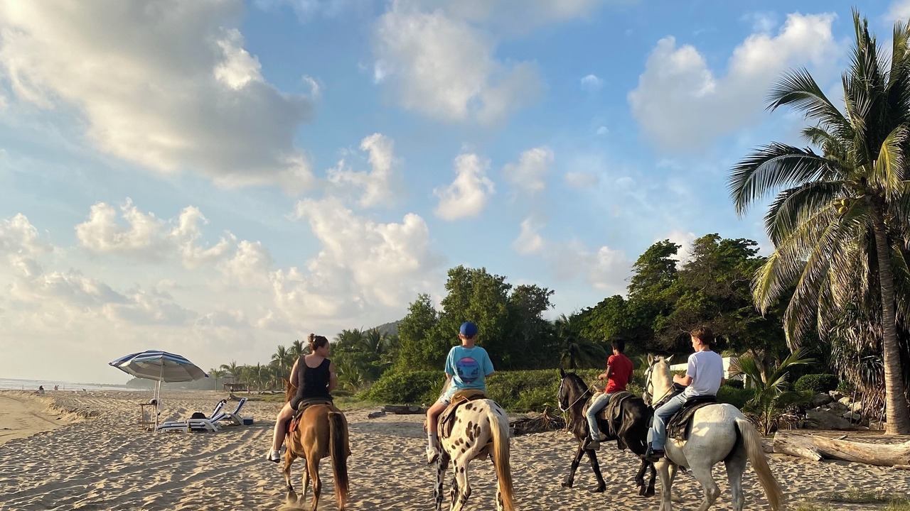 Photo of Others in Troncones