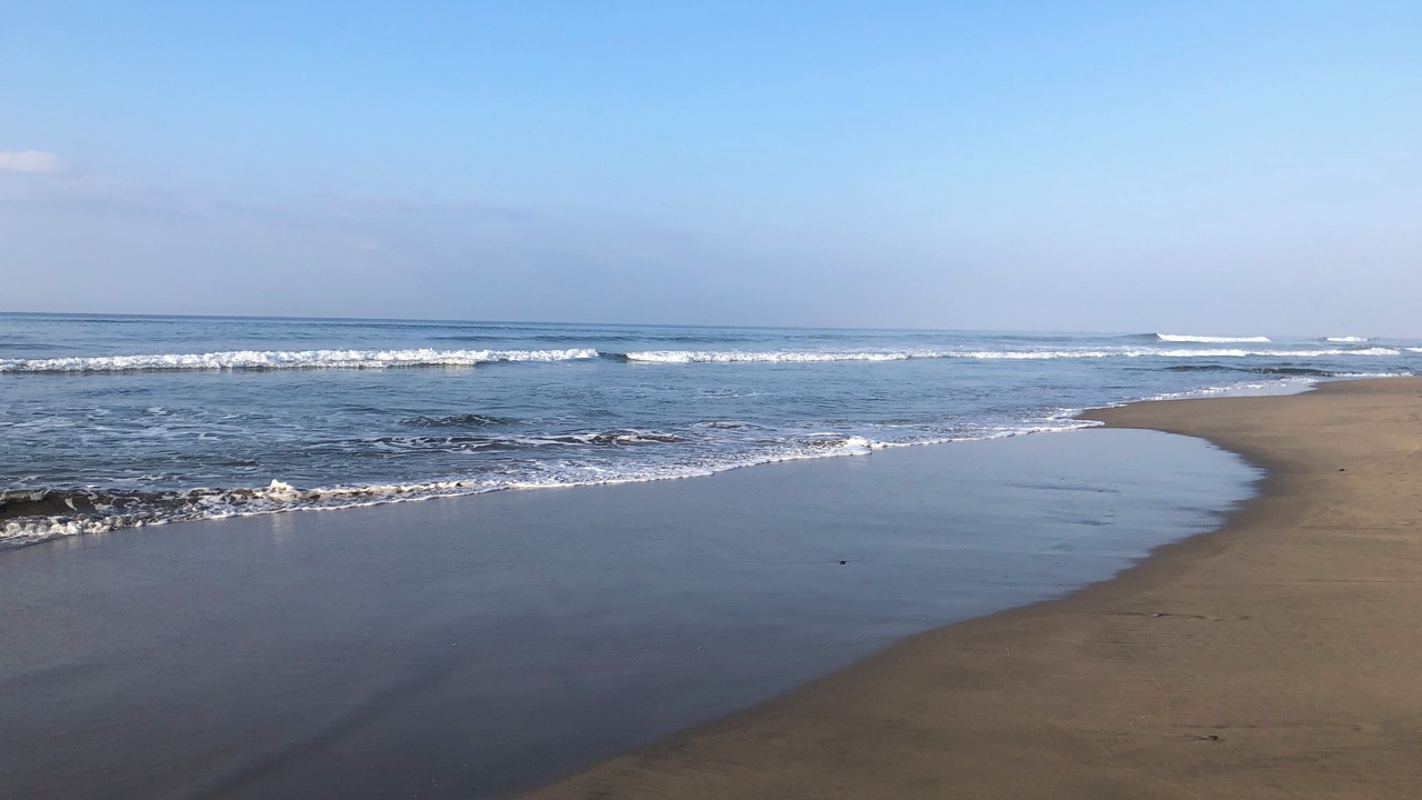 Photo of Others in Troncones