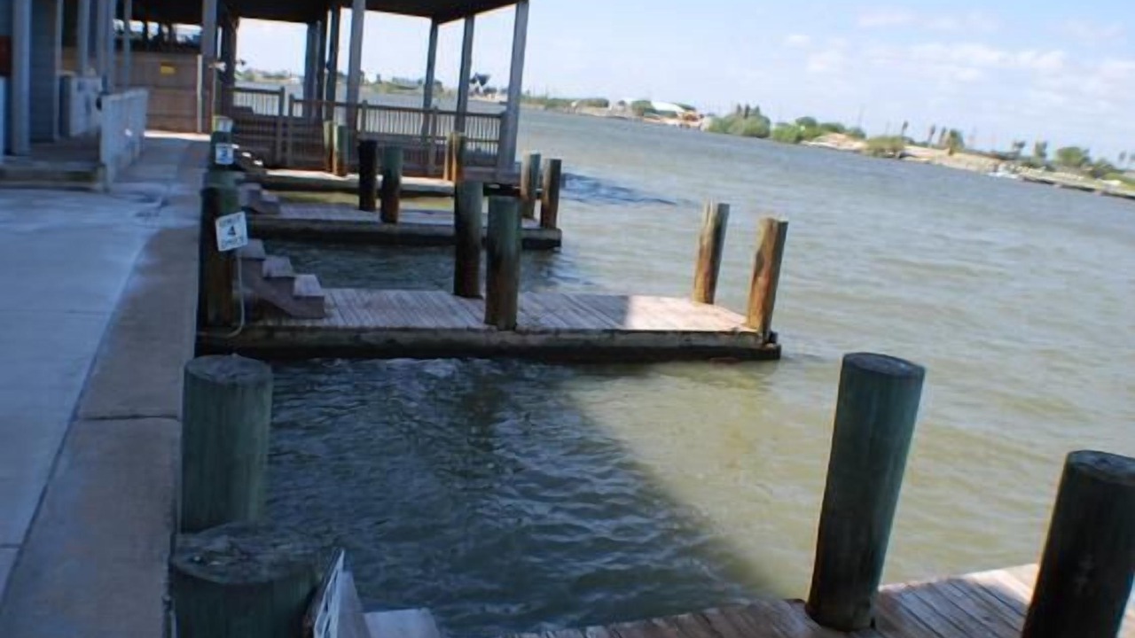 Photo of Others in Port Mansfield