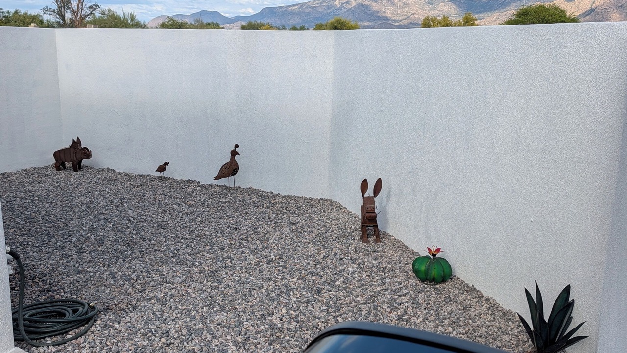 Photo of Outdoor in Rancho Vistoso