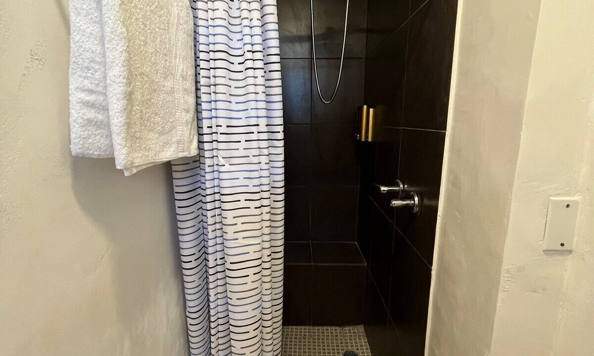 Photo of Bathroom in Monterrey Centro