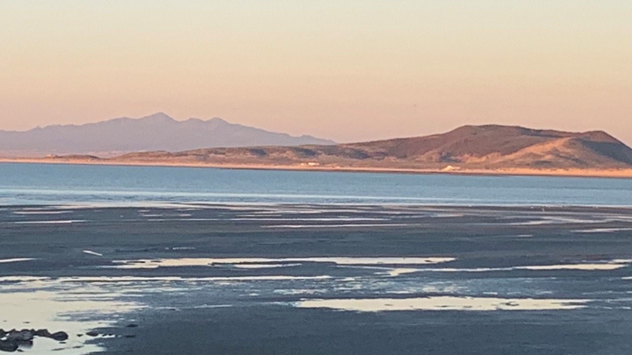 Photo of Others in Cholla Bay