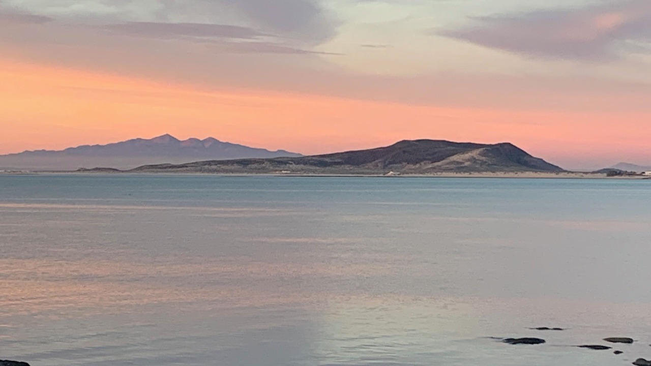 Photo of Others in Cholla Bay